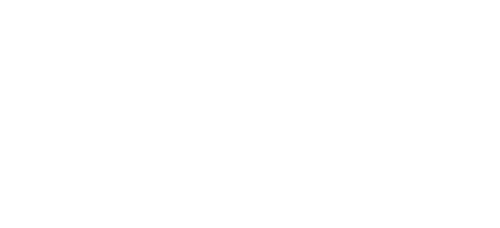 ASTRO INU